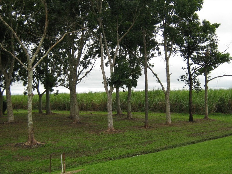 Lot 6/90 Four Mile Road, Ingham QLD 4850