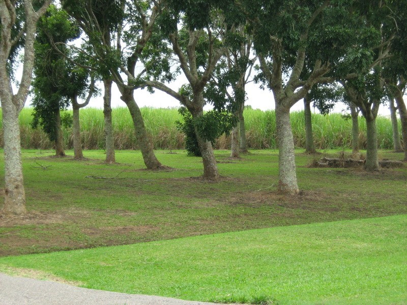 Lot 6/90 Four Mile Road, Ingham QLD 4850