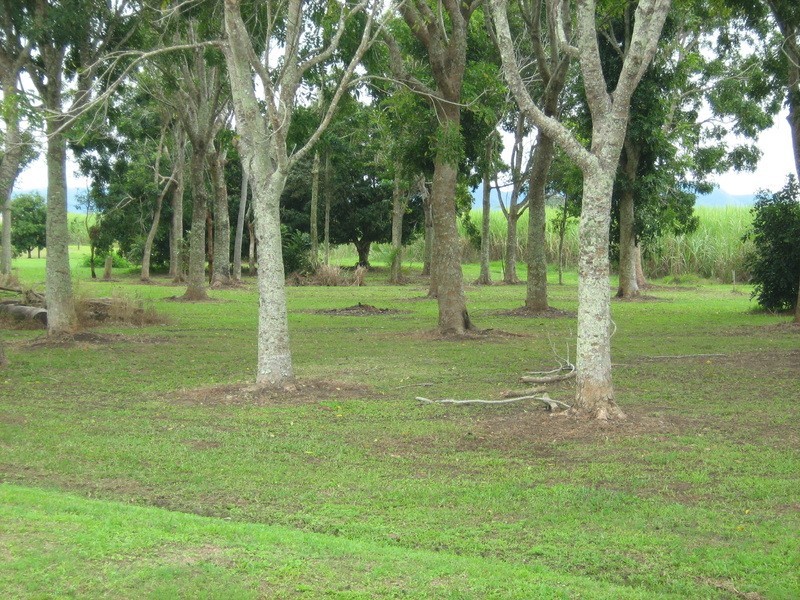 Lot 6/90 Four Mile Road, Ingham QLD 4850