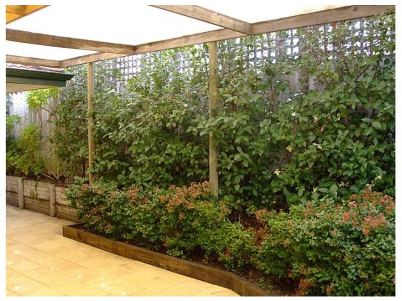 36C Leonard St, Victoria Park WA 6100