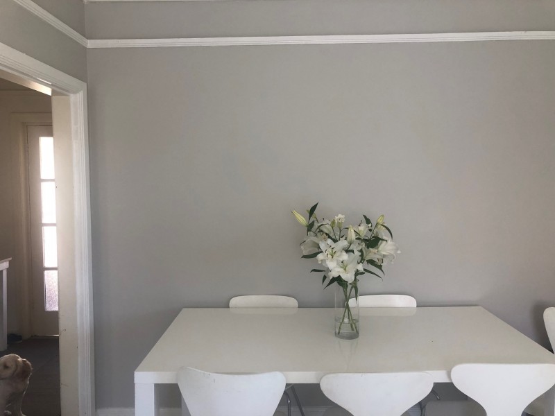 19B Bellevue Street, Fairlight NSW 2094