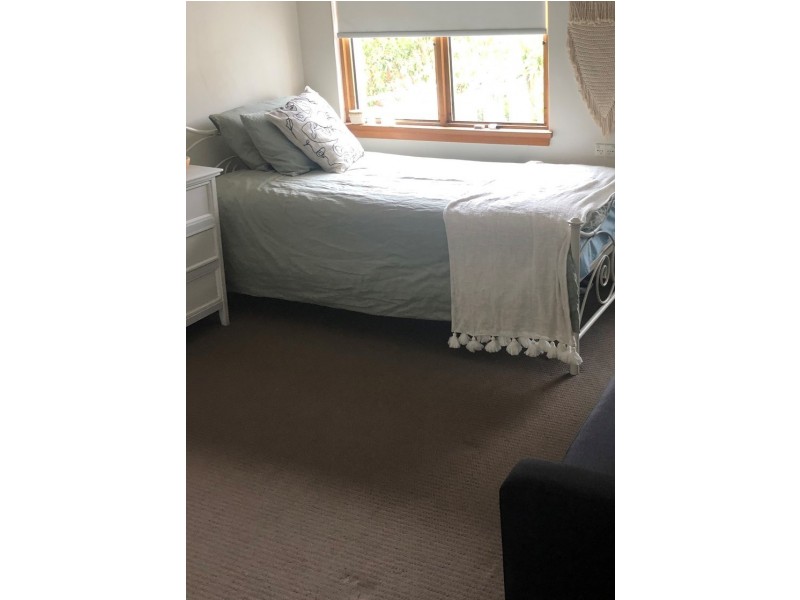 19 Bellevue Street, Fairlight NSW 2094