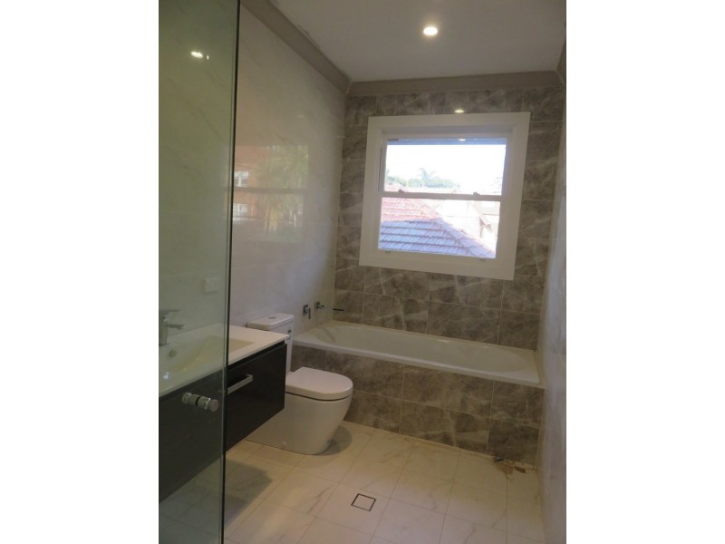 43A LLANDAFF STREET, Bondi Junction NSW 2022