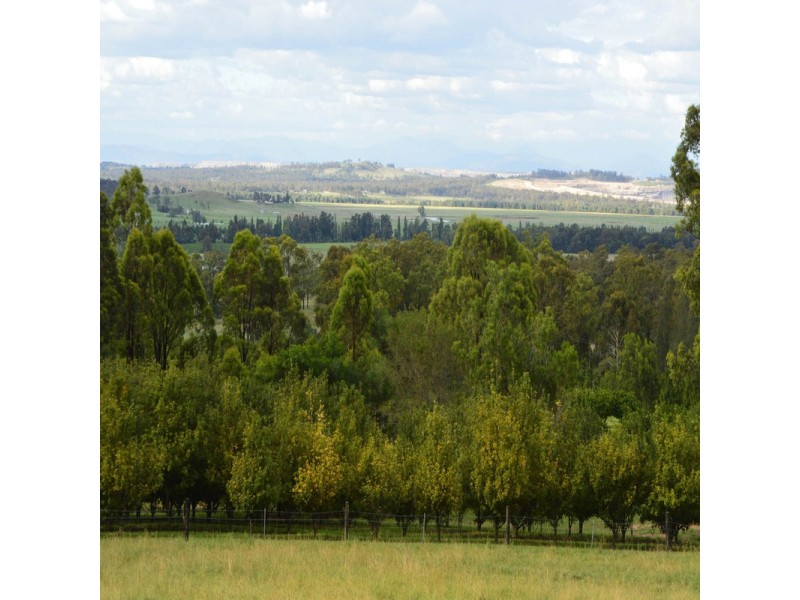 118 Milbrodale Road, Broke NSW 2330