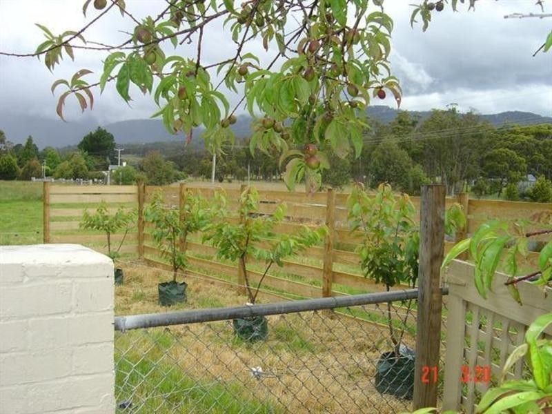 201 Mountain River Road, Grove TAS 7109