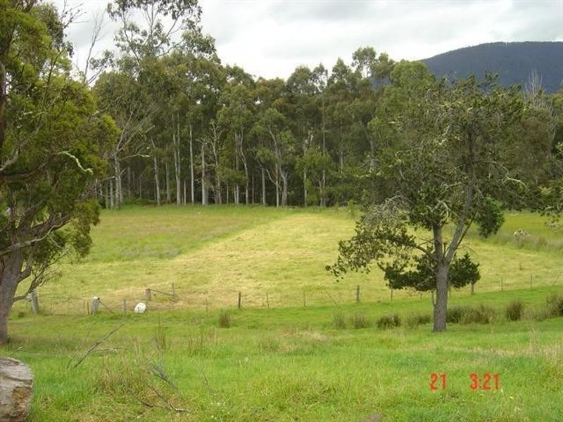 201 Mountain River Road, Grove TAS 7109
