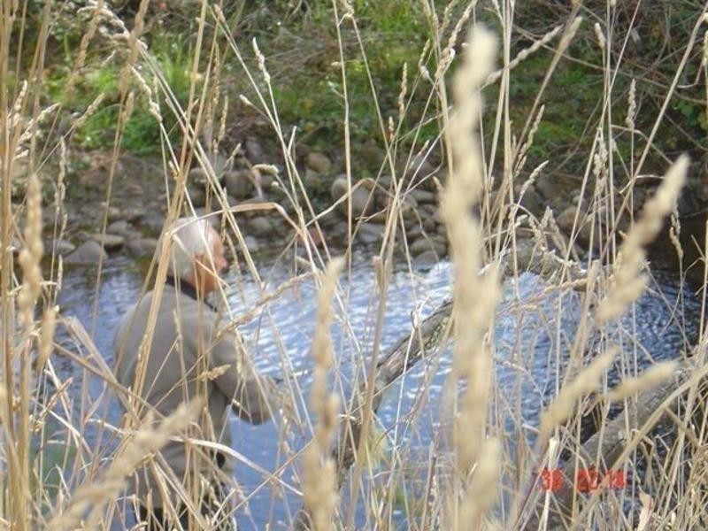 201 Mountain River Road, Grove TAS 7109