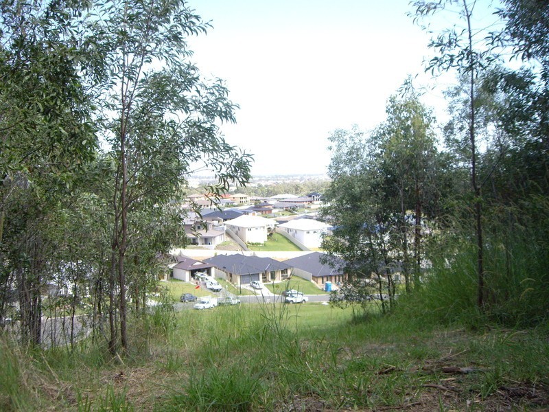 Reedy Creek QLD 4227