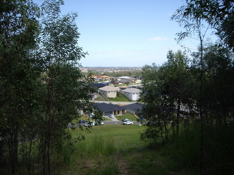 Reedy Creek QLD 4227