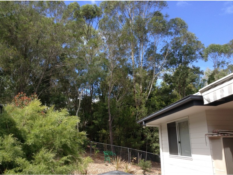 12 Mallee Close, Caloundra West QLD 4551