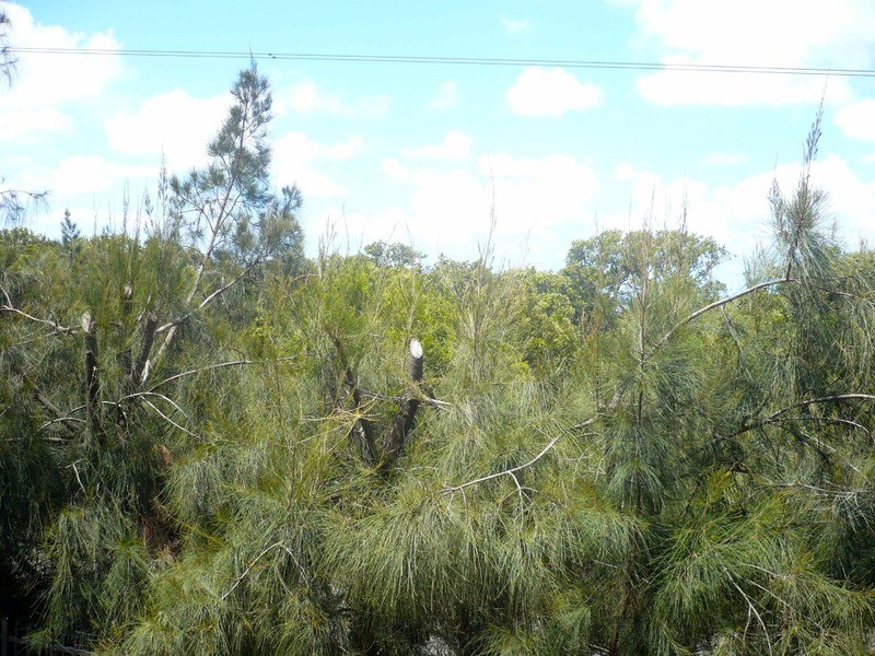 8/16-18 Northumberland Drive, Caringbah NSW 2229