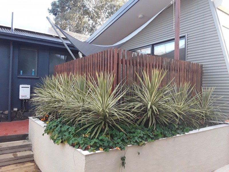 40 Mawson Drive, Mawson ACT 2607