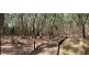 3 Sandpiper Court, Slade Point QLD 4740