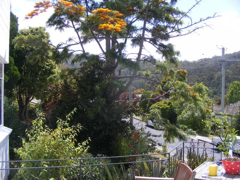 304 Lenah Valley Road, Lenah Valley TAS 7008