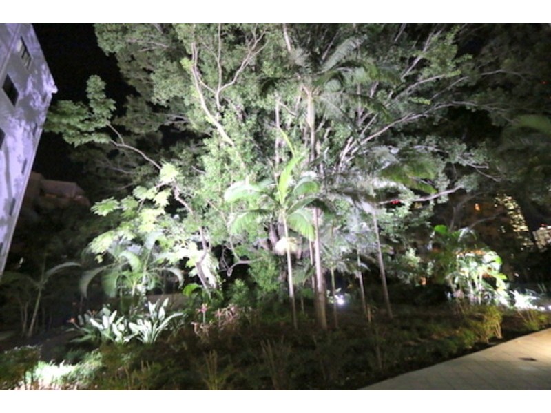 1/161 Main Street, Kangaroo Point QLD 4169