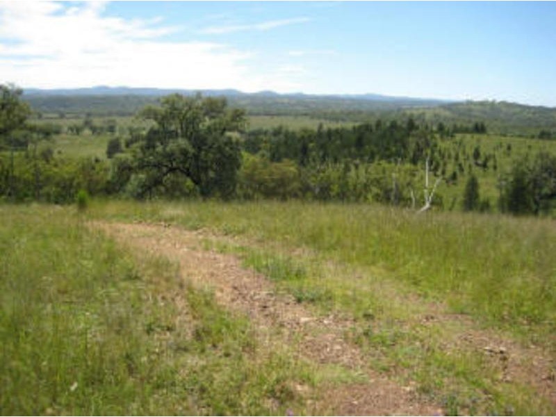 McLeod Lodge 83 Rockhampton Rd, Stanthorpe QLD 4380