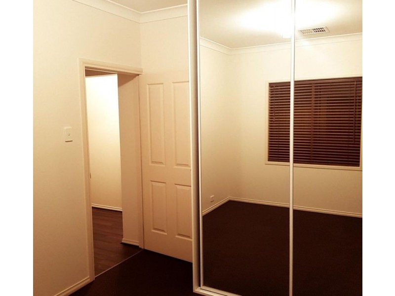 52 Russ Avenue, Seaton SA 5023