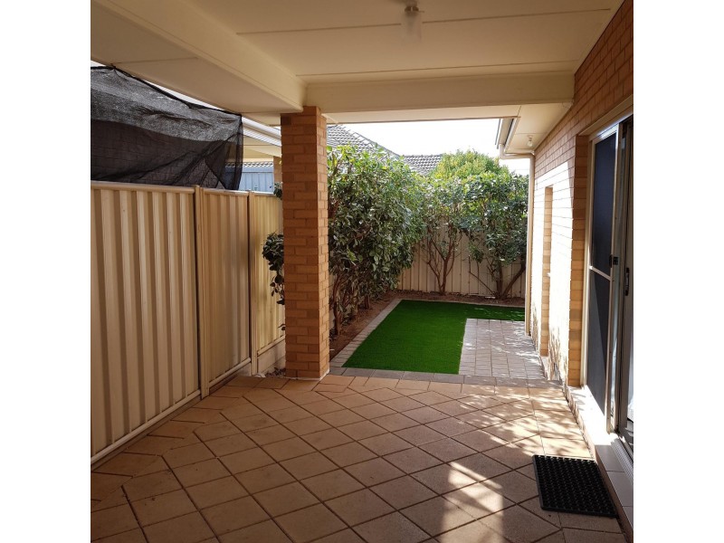 52 Russ Avenue, Seaton SA 5023