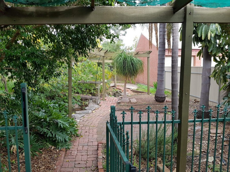 7 Crozier Avenue, Daw Park SA 5041