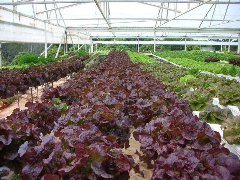 497 Stuarts Point Road, Yarrahapinni NSW 2441