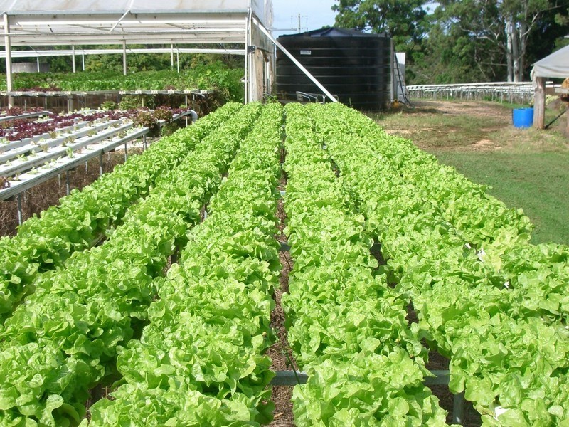 497 Stuarts Point Road, Yarrahapinni NSW 2441