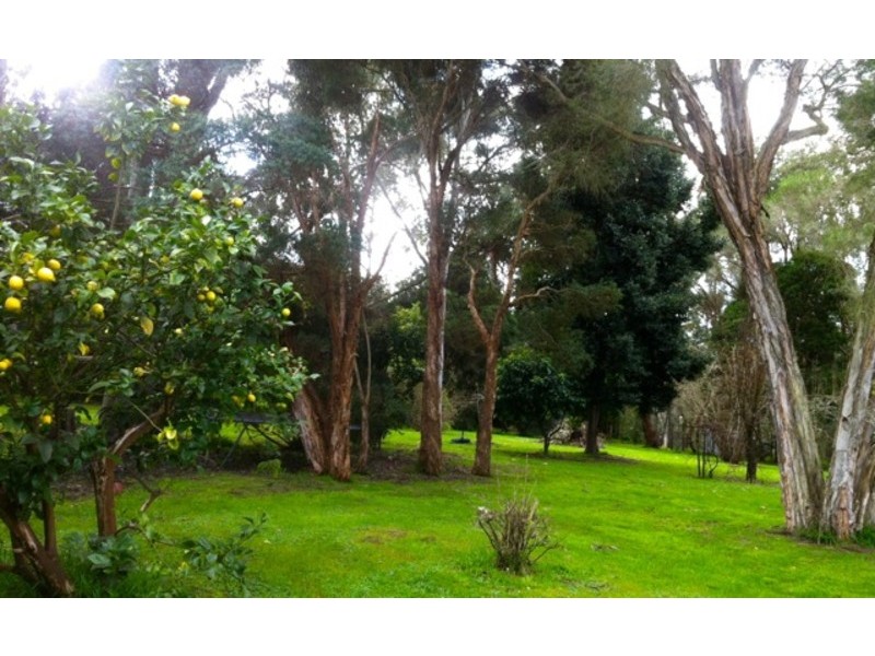 Koonwarra VIC 3954
