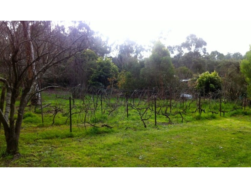 Koonwarra VIC 3954