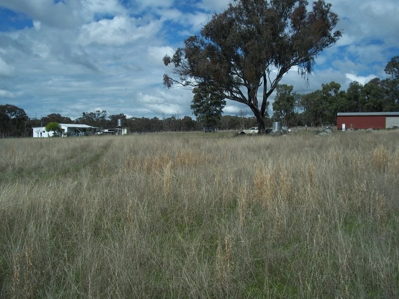 Bundarra NSW 2359