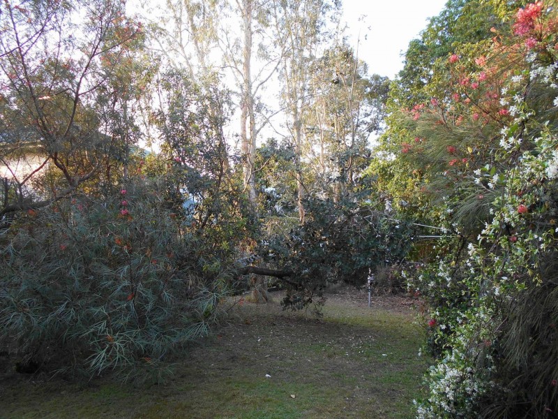 164 Park Road, Woolloongabba QLD 4102