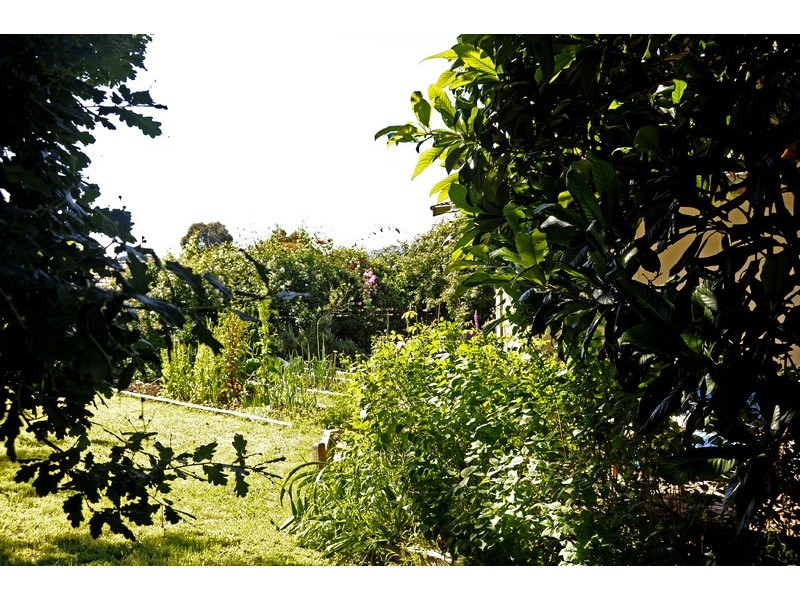 3A Autumn  Rise, Warranwood VIC 3134