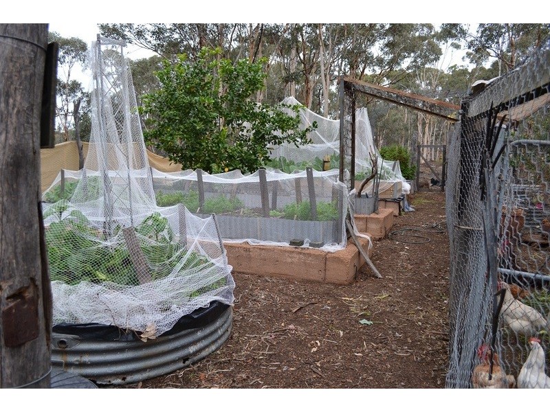 220 BENRUA RD, Clackline WA 6564