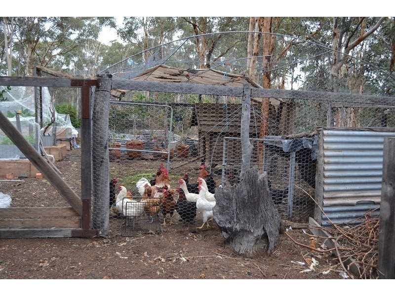 220 BENRUA RD, Clackline WA 6564