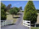 1886 Pipers River Rd, Lower Turners Marsh TAS 7267