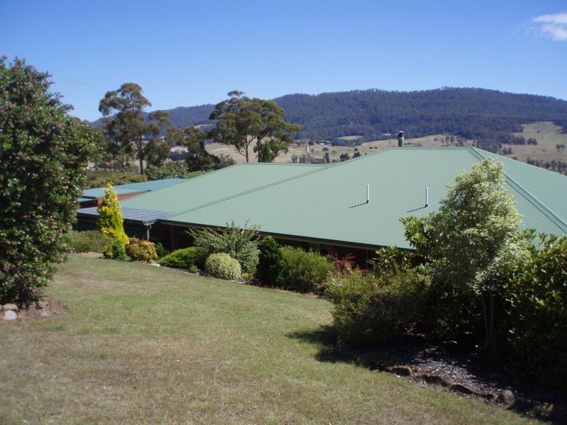 1886 Pipers River Rd, Lower Turners Marsh TAS 7267