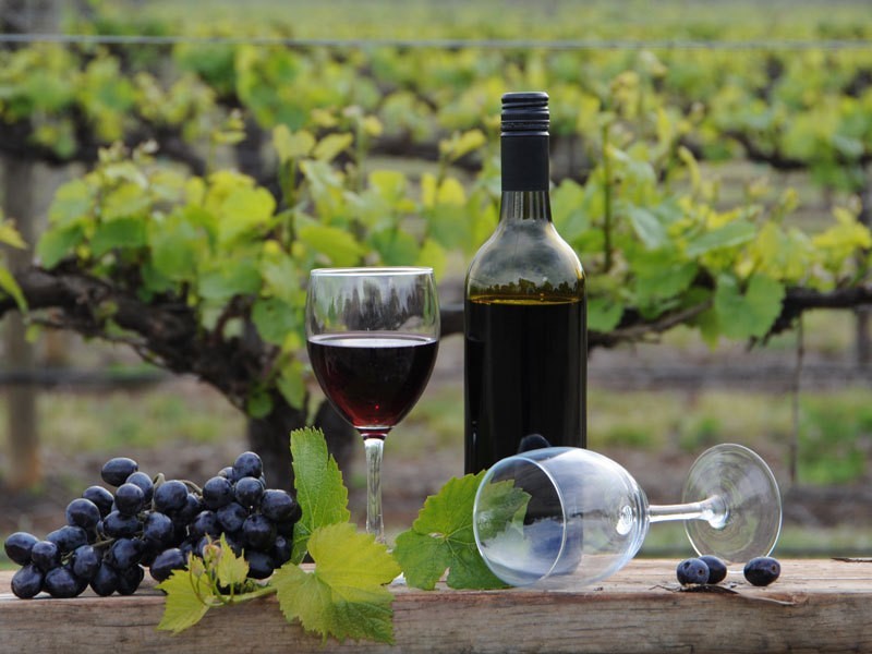 1 Holmfield Court, Moama NSW 2731