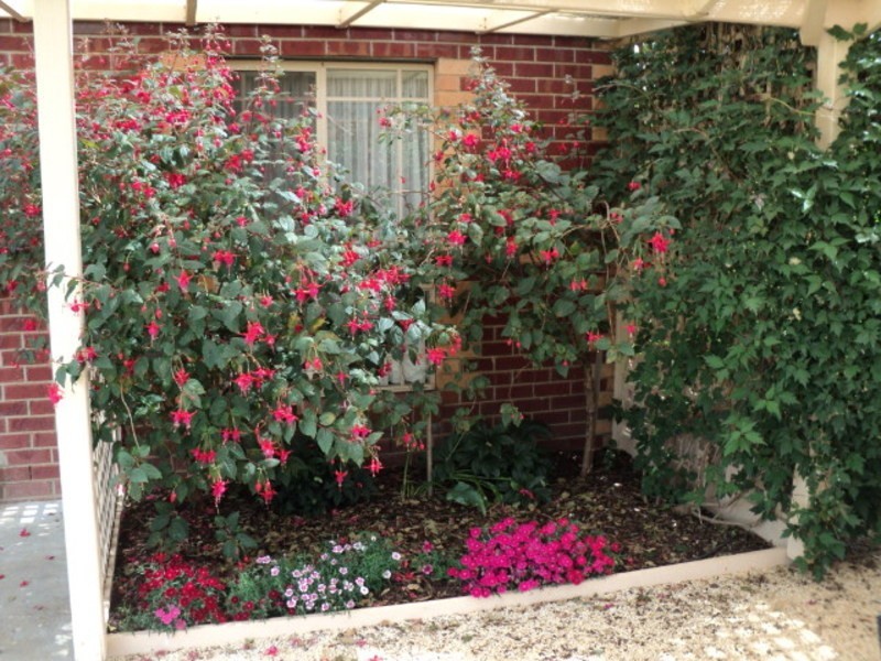 27 Shari Drive Delacombe, Ballarat VIC 3350