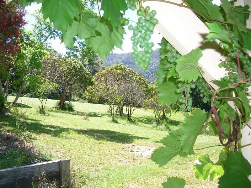 497 Stuarts Point Road, Yarrahapinni NSW 2441