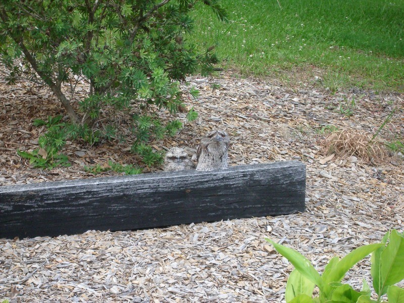 497 Stuarts Point Road, Yarrahapinni NSW 2441