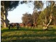 1665 Rosa Brook Road, Margaret River WA 6285