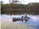 Elliott QLD 4670