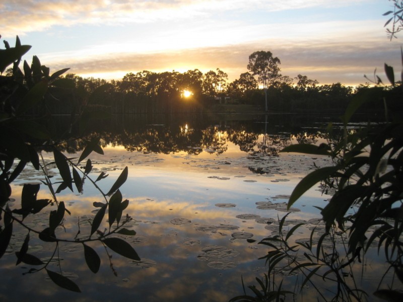 Elliott QLD 4670