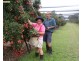 Elliott QLD 4670