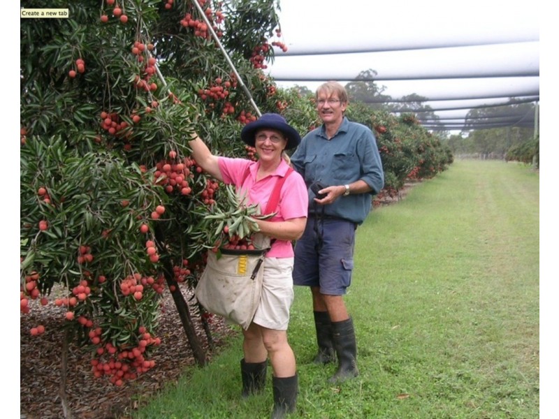 Elliott QLD 4670