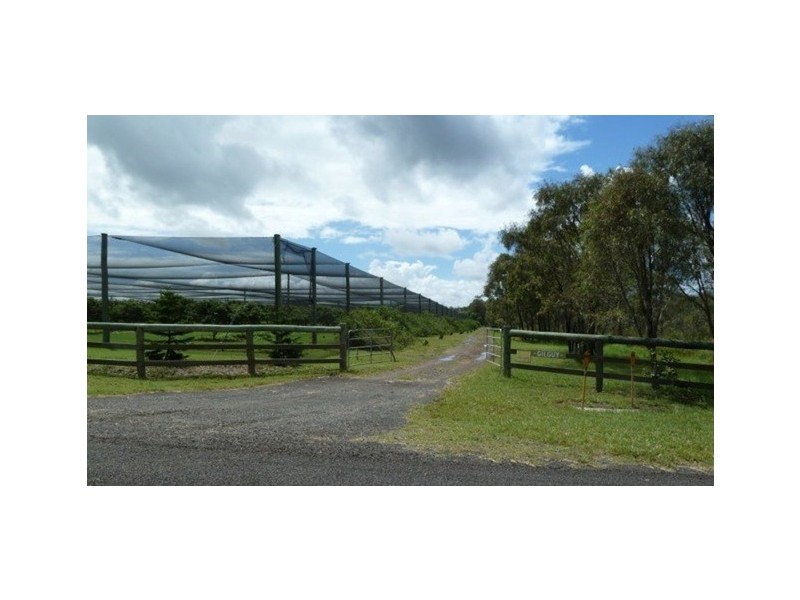 Elliott QLD 4670