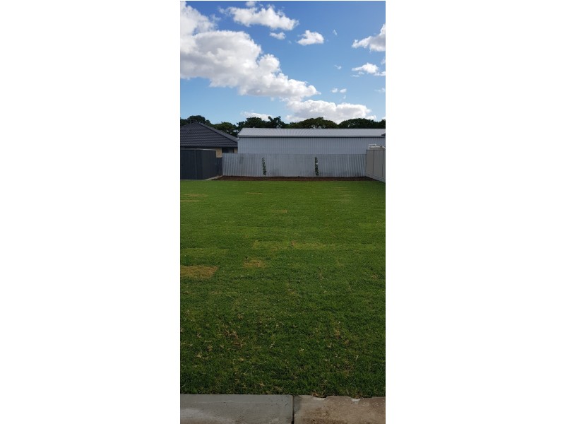 7 Kimber Terrace, Kurralta Park SA 5037