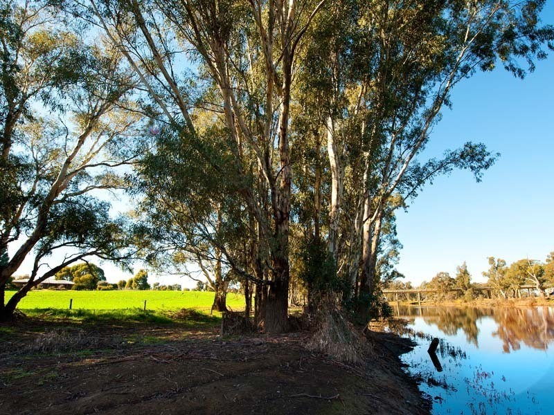 3974 Bendigo Maryborough Road, Eddington VIC 3472