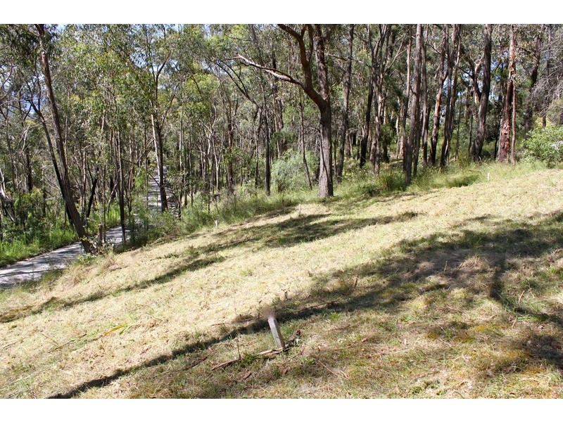 8 Arlunya Road, Chum Creek VIC 3777