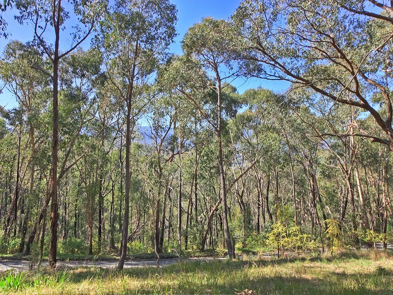 8 Arlunya Road, Chum Creek VIC 3777