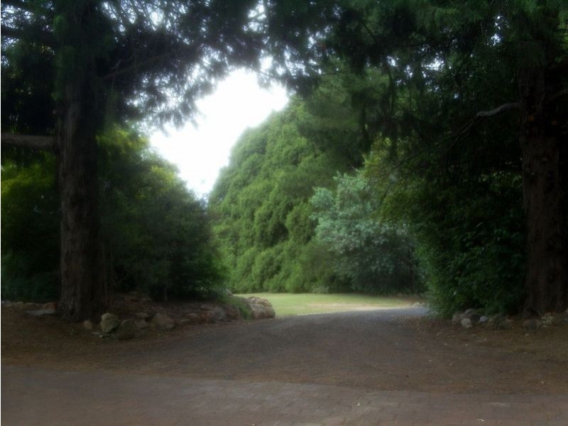 449 Conrod Straight, Mount Panorama NSW 2795