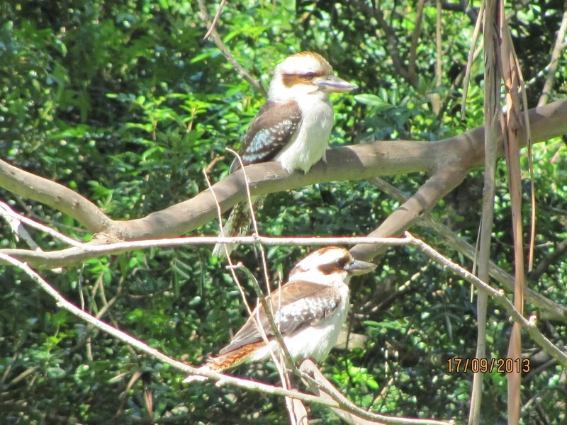 58 WELD ROAD, Capel WA 6271